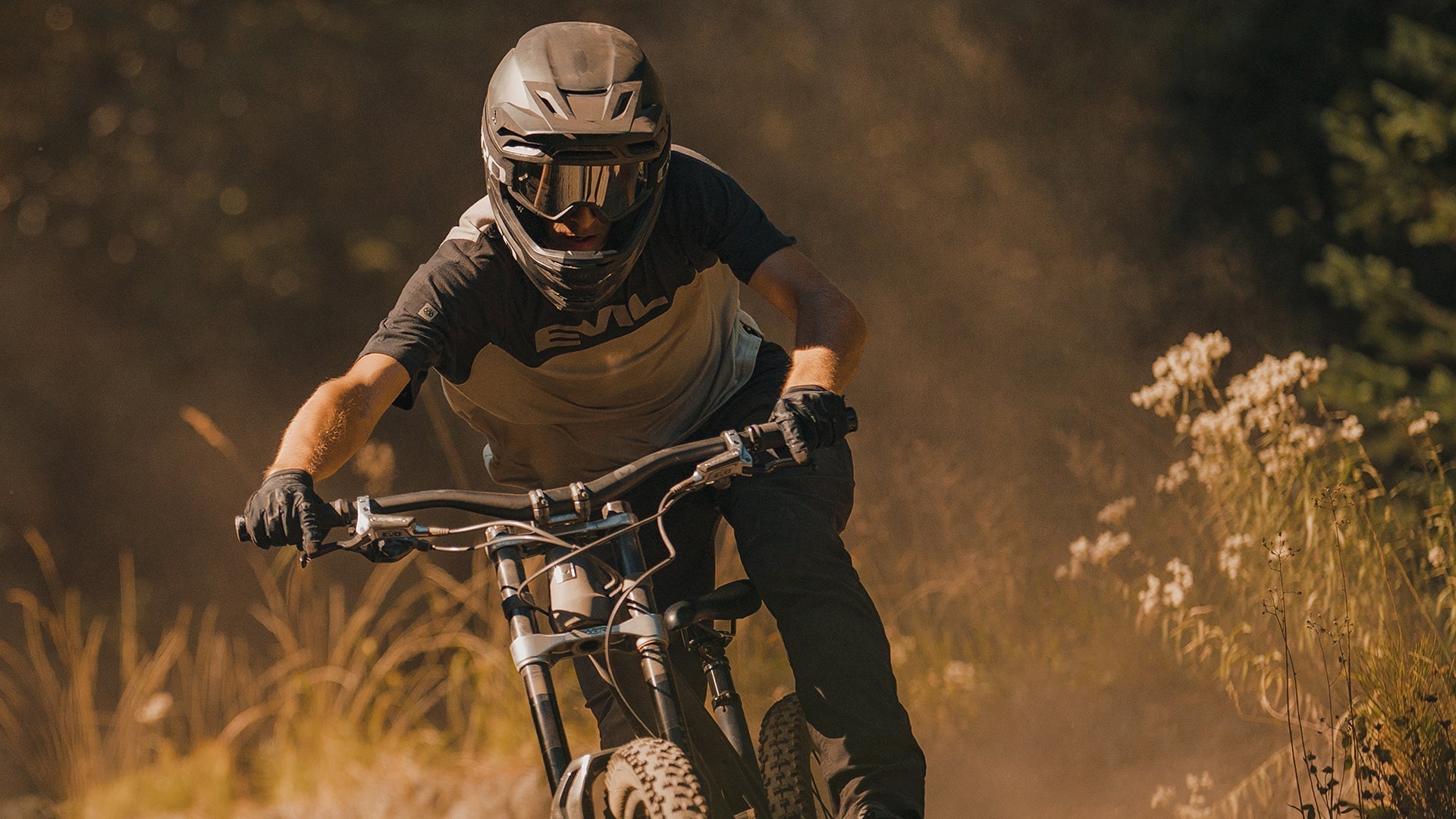 Insurgent LB – Evil Bikes Global, S.L.